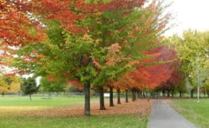 Yakima Greenway - Yakima Valley, WA