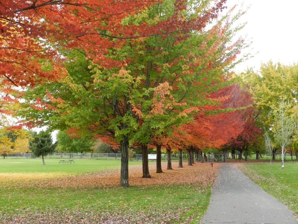 Yakima Greenway - Yakima Valley, WA