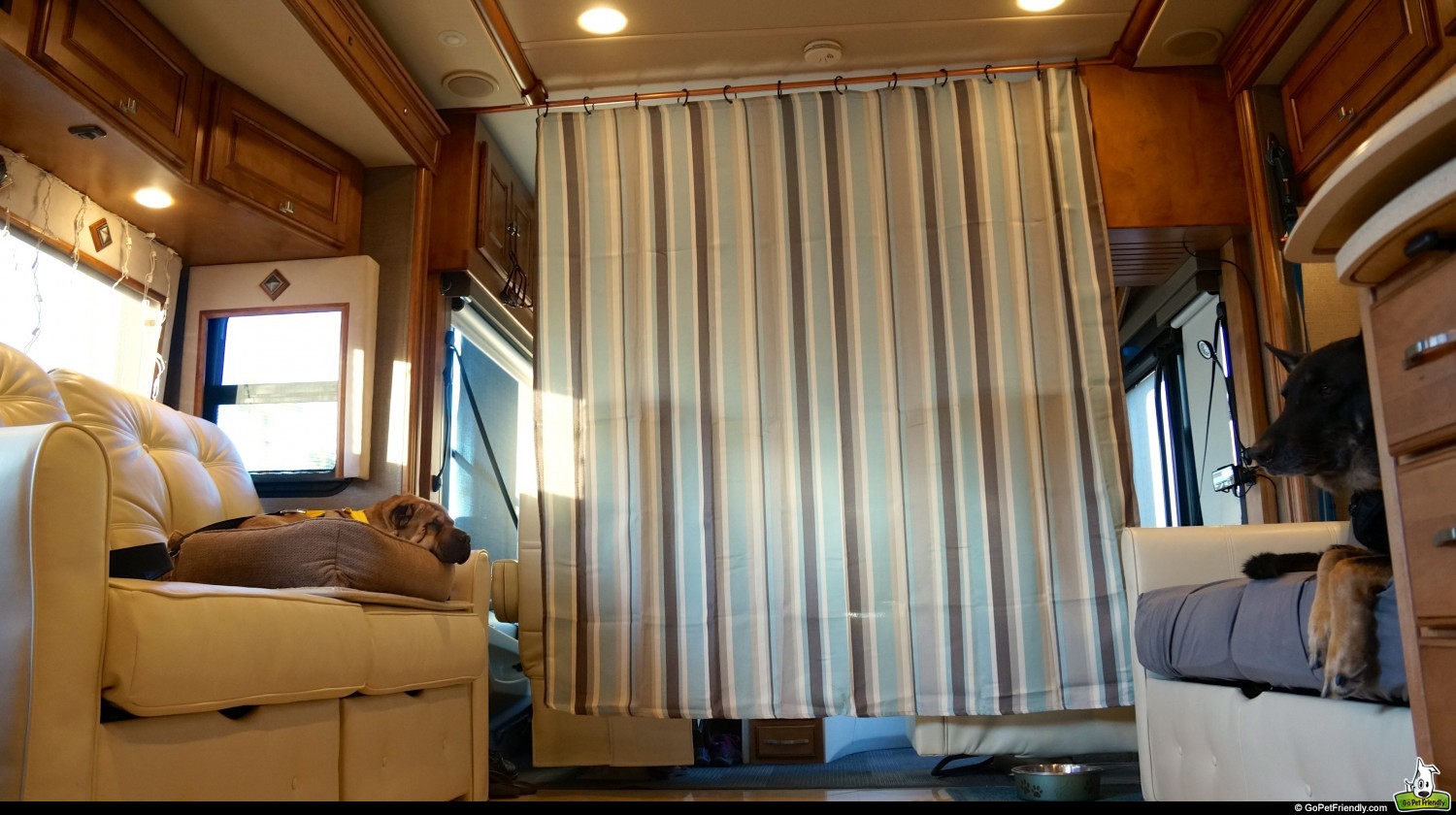 Shower curtain blocking the view out the windshield for two dogs riding in a motorhome