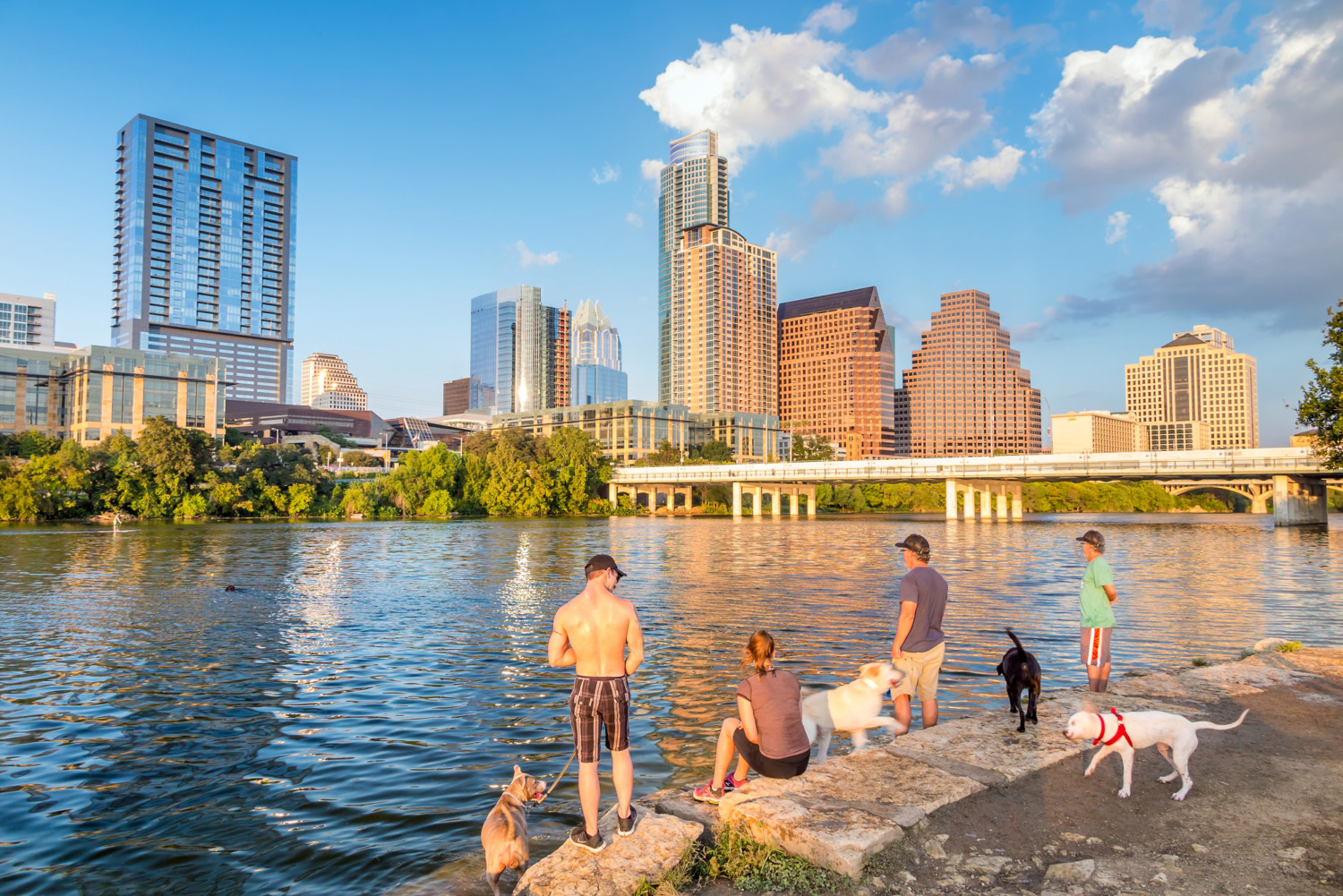 People and dogs on the dog friendly lakeshore with the Austin skyline across the lake