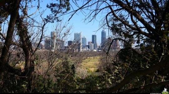 Zilker Botanical Garden - Austin, TX