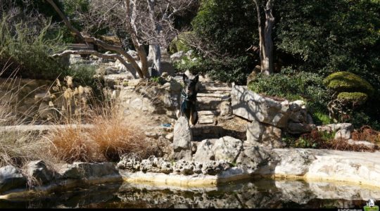 Buster at Zilker Botanical Garden - Austin, TX