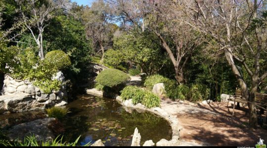 Zilker Botanical Garden - Austin, TX