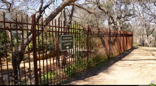 Zilker Botanical Garden - Austin, TX