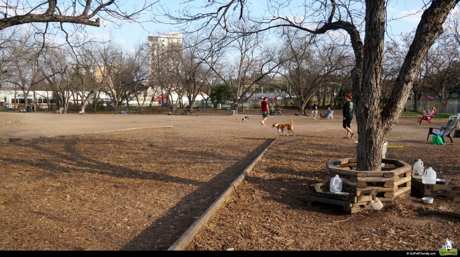 Norwood Dog Park - Austin, TX