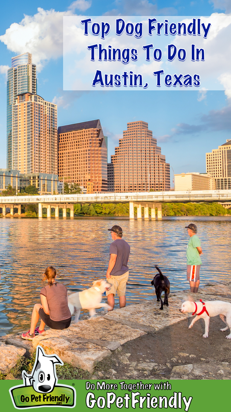 Three people and three dogs on the dog friendly lakeshore with the Austin skyline across the lake