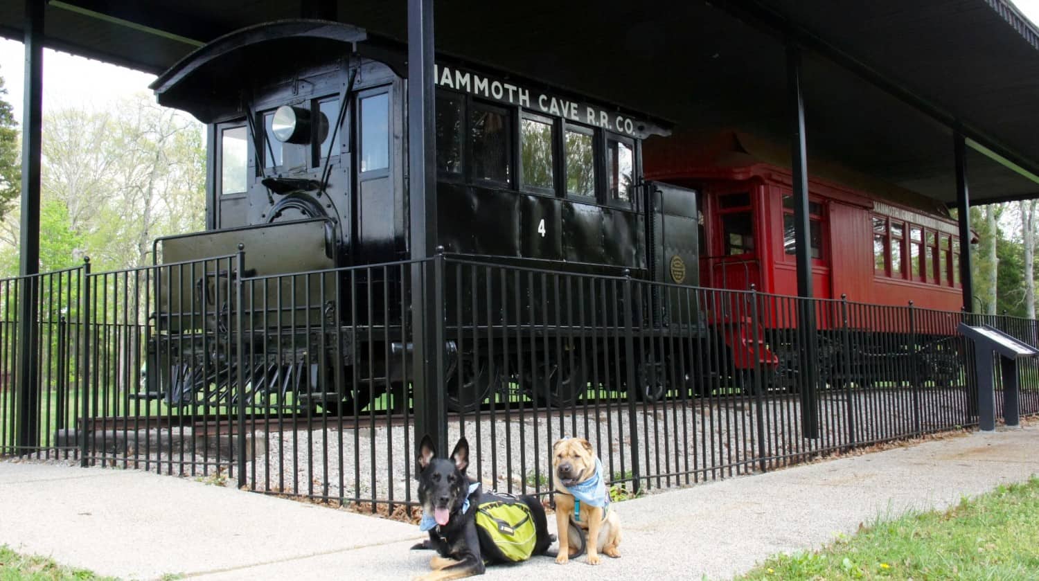 Buster the German Shepherd and Ty the Shar-pei resting in front of a locomotive at dog-friendly Mammoth Cave National Park in Kentucky