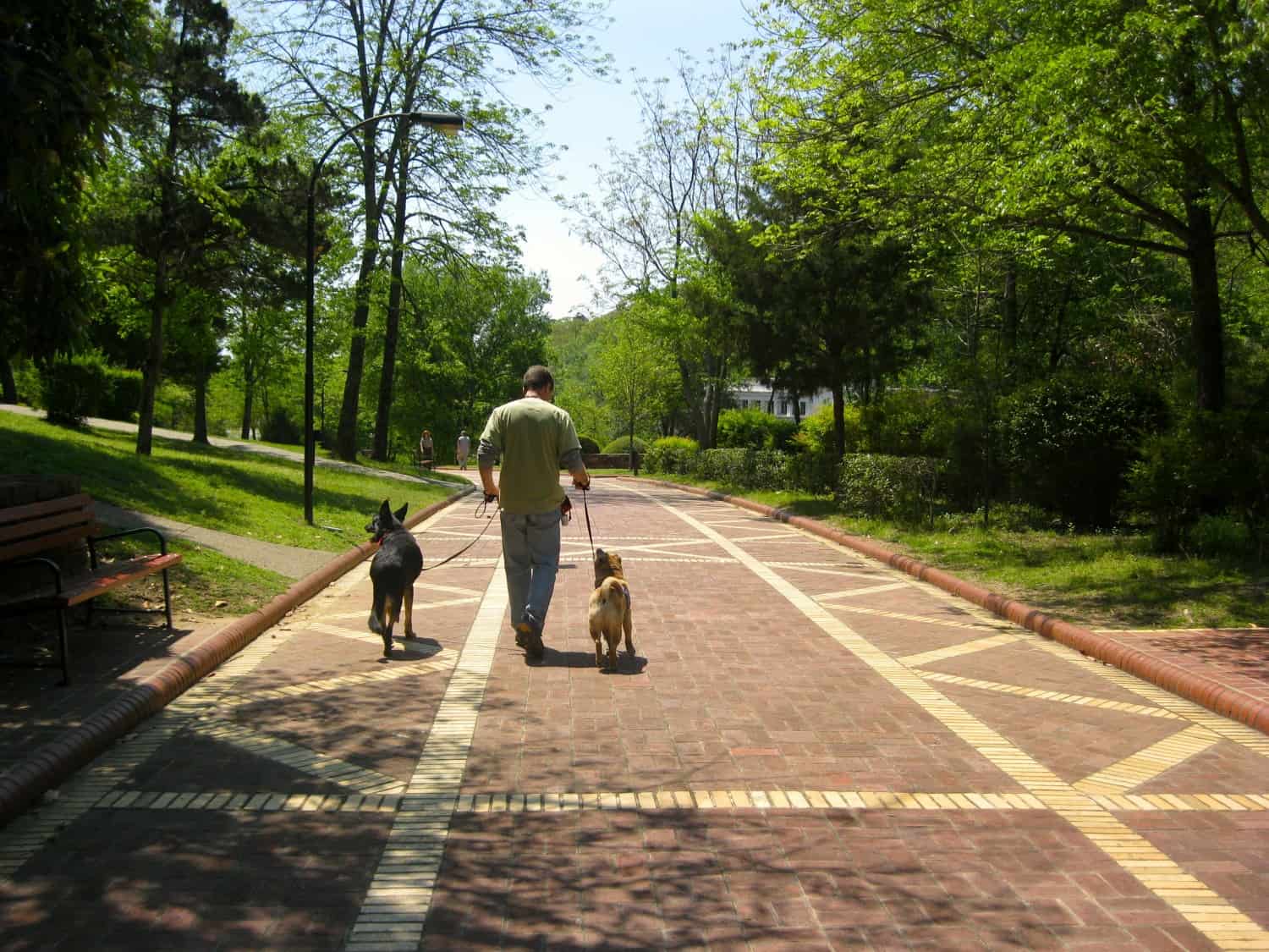 Buster the German Shepherd, Rod the human, and Ty the Shar-pei walking a brick path in dog-friendly Hot Springs National Park, Arkansas