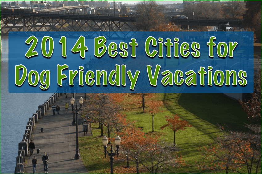 2014 Best Cities for Dog Friendly Vacations