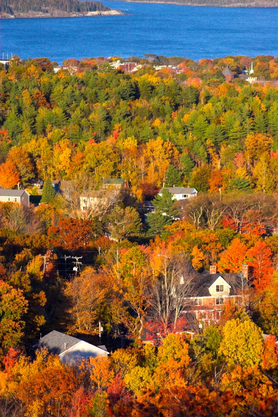 Bar Harbor, ME - 2015 Top 8 Best City for Pet Travelers from GoPetFriendly.com