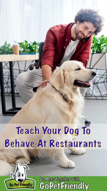 Golden Retriever dog and man sitting at a table at a pet friendly restaurant