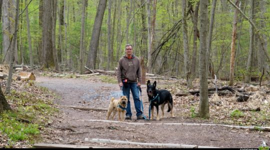 Dog Friendly Nolde Forest - Reading, PA