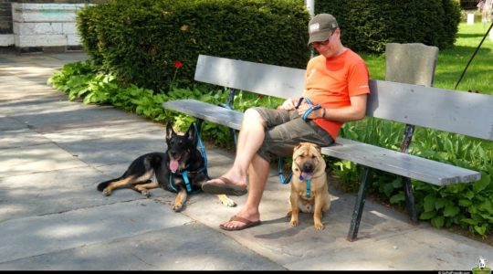 Rod, Ty and Buster in Kingston, NY