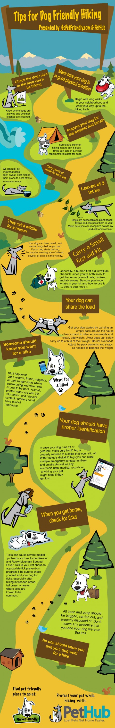 Dog Friendly Hiking Tips Infographic