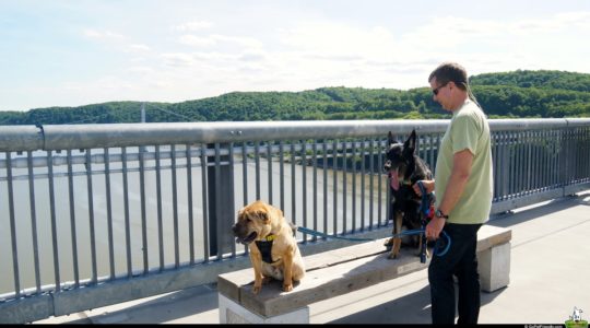 Walkway Over the Hudson - Poughkeepsie, NY