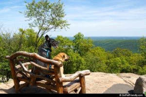 Buster & Ty on Bear Mountain - Hudson Valley, NY