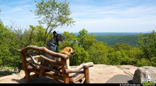 Buster & Ty on Bear Mountain - Hudson Valley, NY