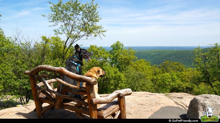 Buster & Ty on Bear Mountain - Hudson Valley, NY - a state park that allows dogs