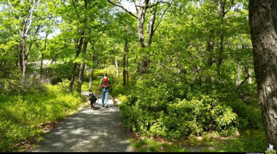 Bear Mountain - Hudson Valley, NY