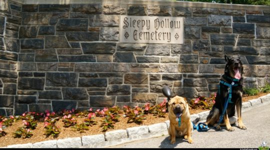 Sleepy Hollow Cemetery - Hudson Valley, NY