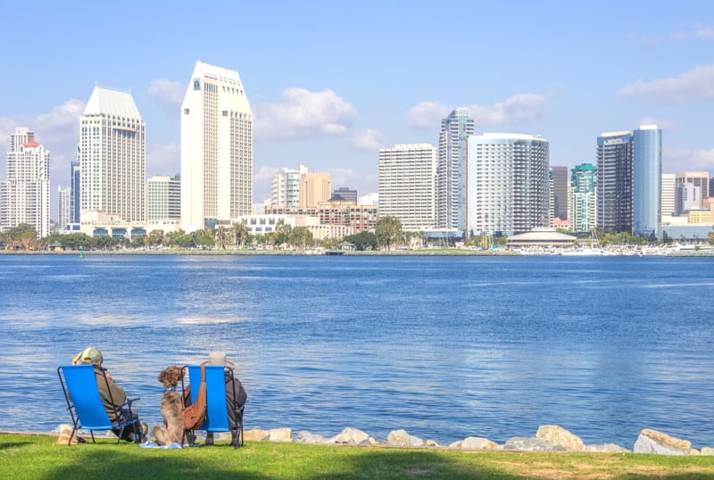 San Diego's Top 10 Dog Friendly Activities