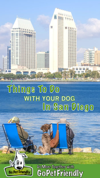 Couple and their dog in lawn chairs admiring the San Diego skyline across the water