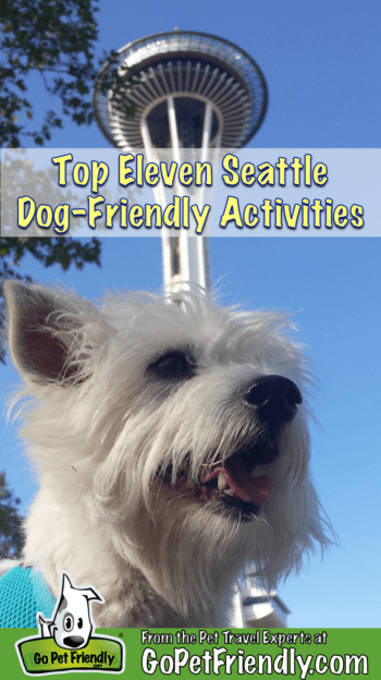 White Terrier sitting in font of the Space Needle in Seattle, WA