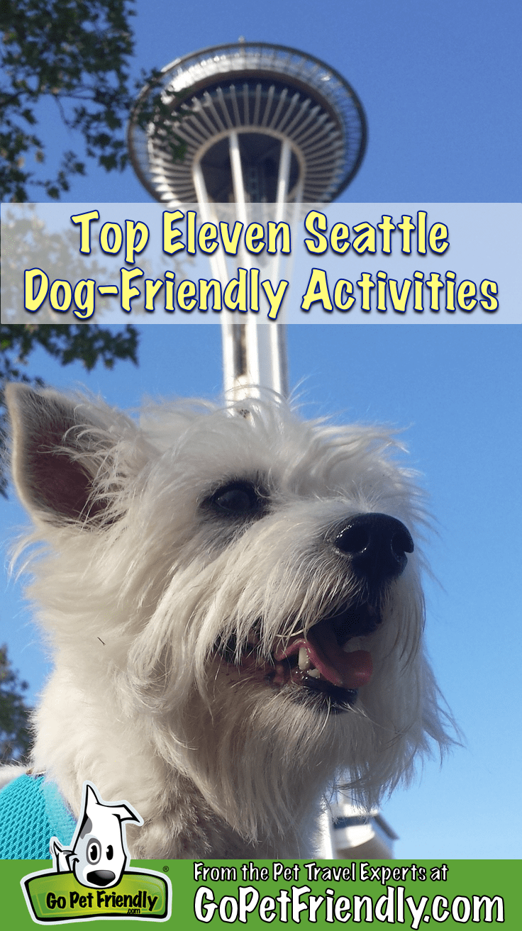 White Terrier ngồi trong phông chữ Space Needle ở Seattle, WA