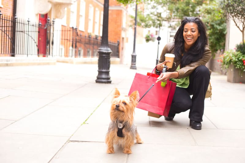 Happy woman with small dog and shopping bags