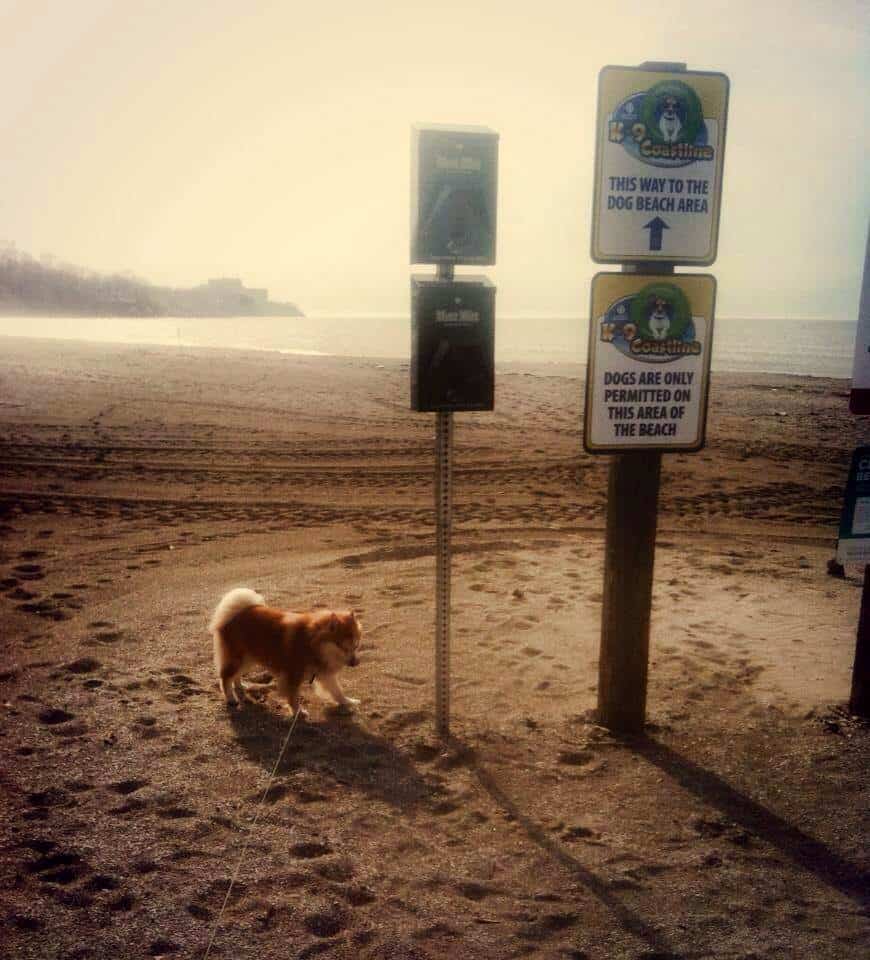 Bow Wow Beach - Stow (Cleveland), OH