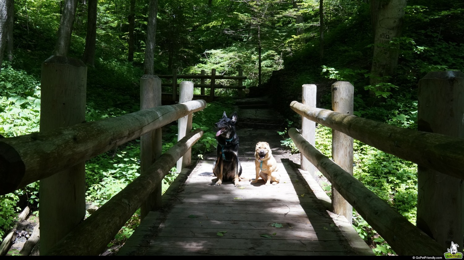 Seven Bridges Trail - Milwaukee, WI