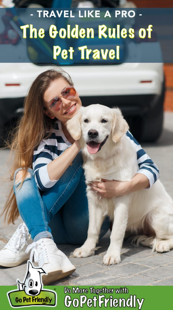 Woman in sunglasses traveling with a happy Golden Retriever puppy