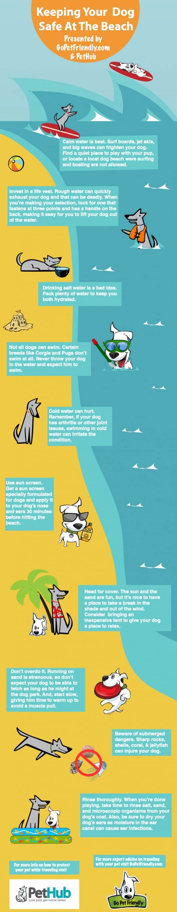 Infographic - Keeping Dogs Safe at the Beach