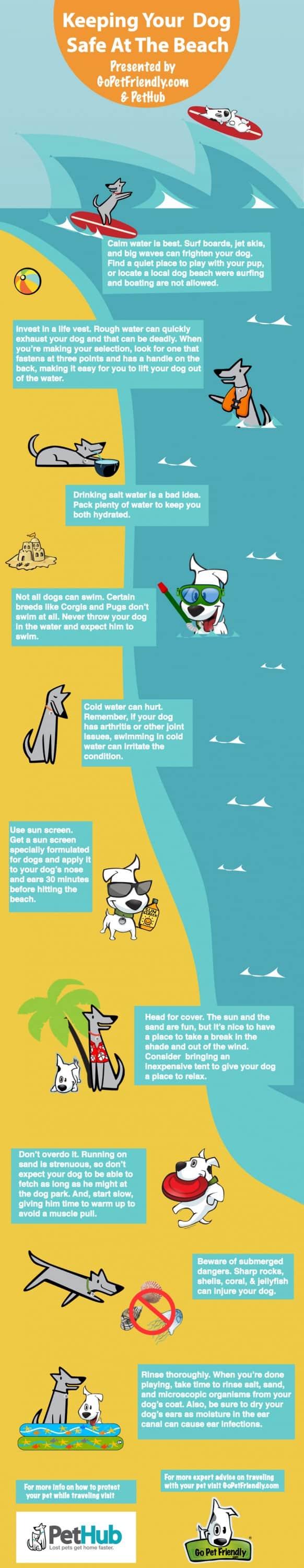 Infographic - Keeping Dogs Safe on the Beach