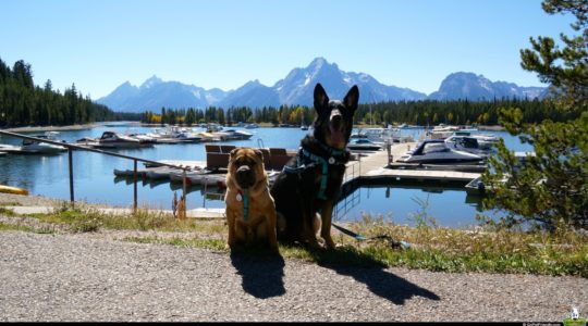 Grand Teton National Park - Jackson, WY