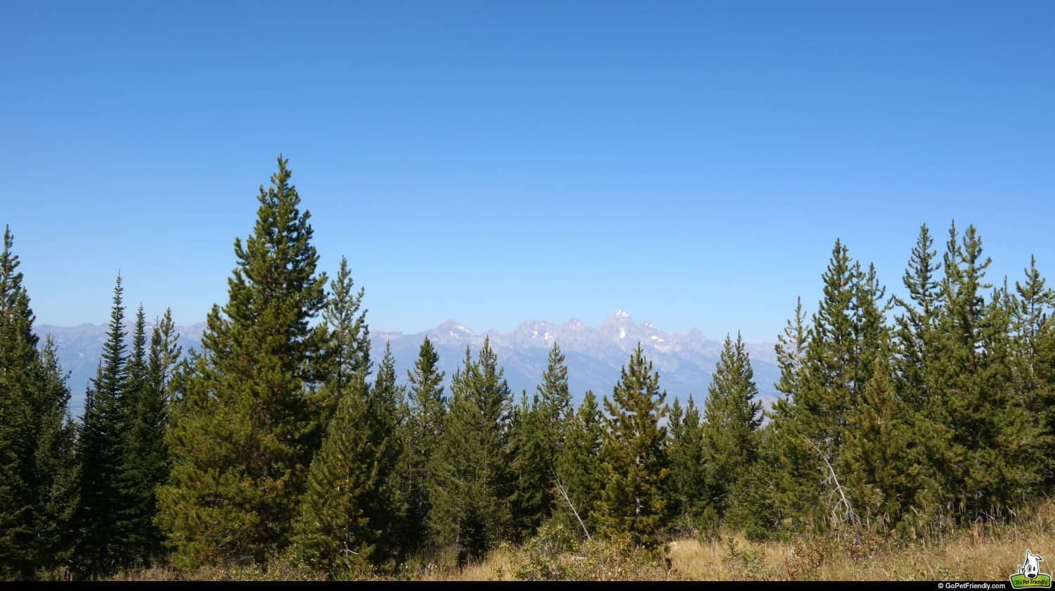 Bridger-Teton National Forest - Jackson, WY