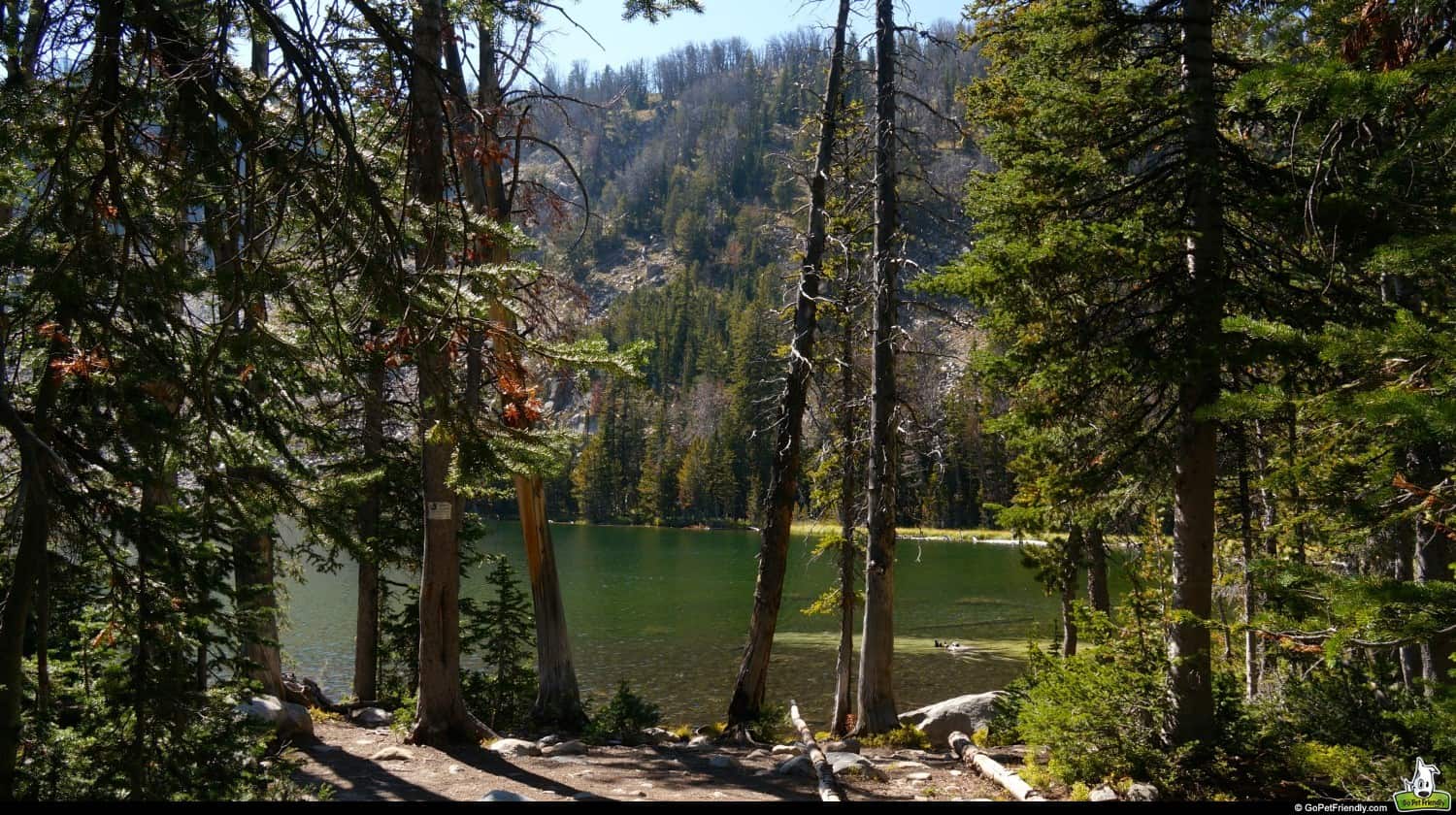 Bridger-Teton National Forest - Jackson, WY