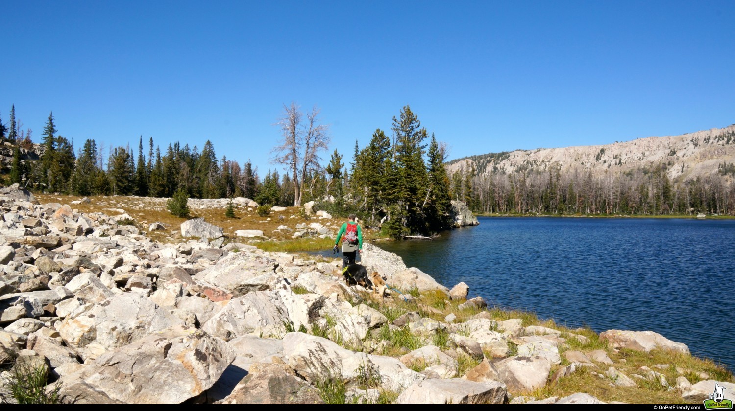 Bridger-Teton National Forest - Jackson, WY