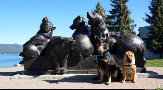 Buster and Ty in McCall, ID