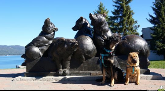 Buster and Ty in McCall, ID