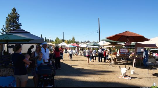 Farmer's Market - McCall, ID