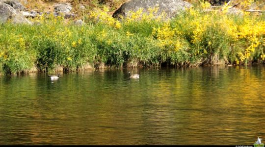 Payette River Scenic Byway - McCall, ID