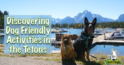 Dog friendly hikes on sale near grand tetons