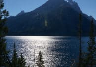 Discovering Dog Friendly Activities in the Grand Tetons | GoPetFriendly.com