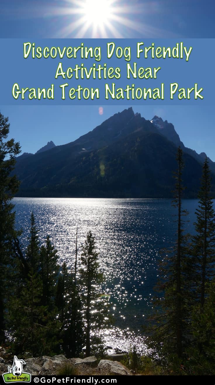 Discovering Dog Friendly Activities in the Grand Tetons | GoPetFriendly.com