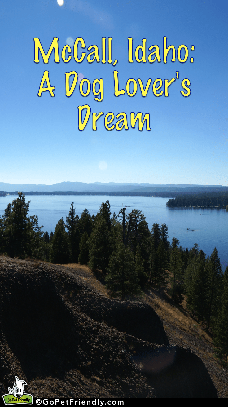 McCall, Idaho: A Dog Lover's Dream