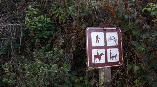 Grey Whale Cove Trail - Pacifica, CA