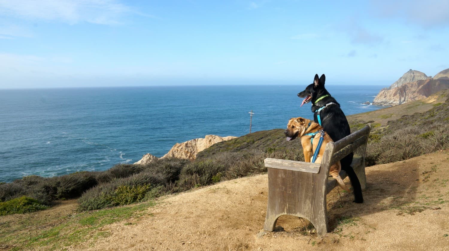 Ty and Buster at Grey Whale Cove Trail - Pacifica, CA