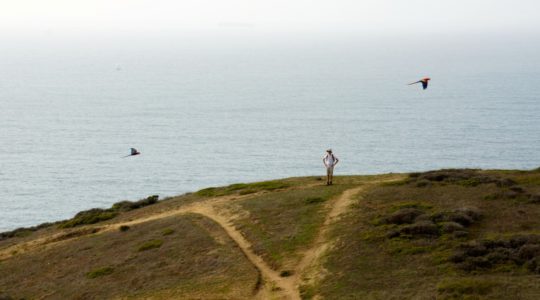 Grey Whale Cove Trail - Pacifica, CA