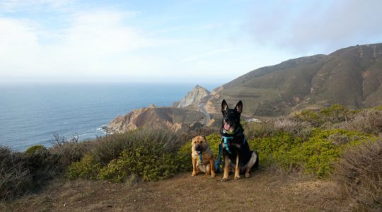 Ty and Buster at Grey Whale Cove Trail - Pacifica, CA